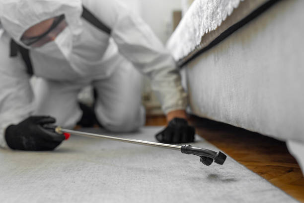 Professional Pest Control technician working in Menasha, WI