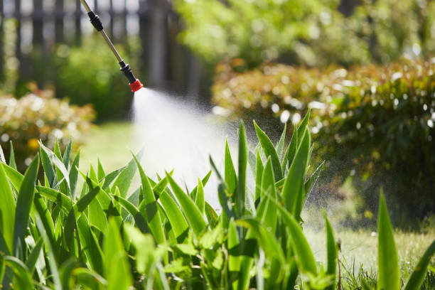 24/7 Emergency Pest Control experts in Menasha, WI